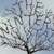 The Winters Tale